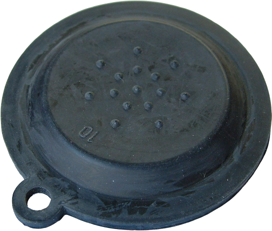 Glow-worm Membrane S801191